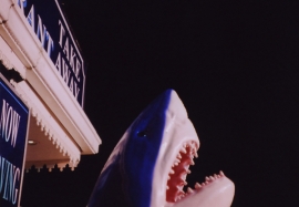 A shark, Brighton Pier