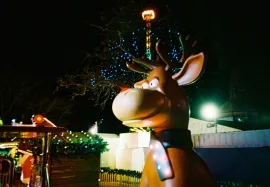 Reindeer, Cardiff Winter Wonderland, Christmas 2012