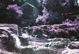 Cenarth Falls