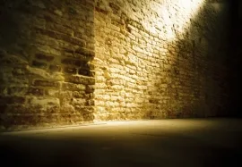 Venice Biennale