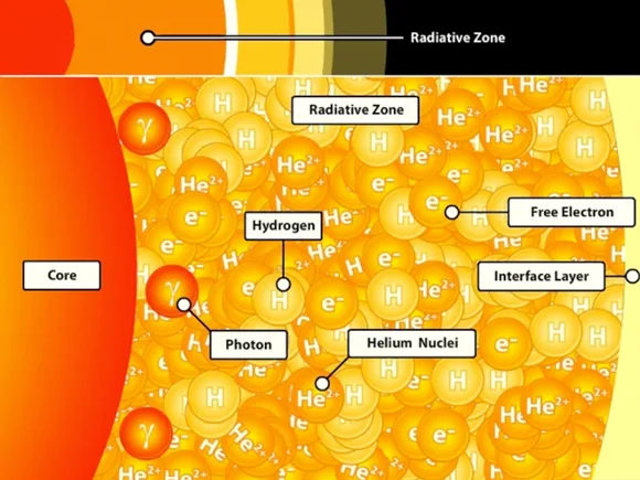 The Radiative Zone